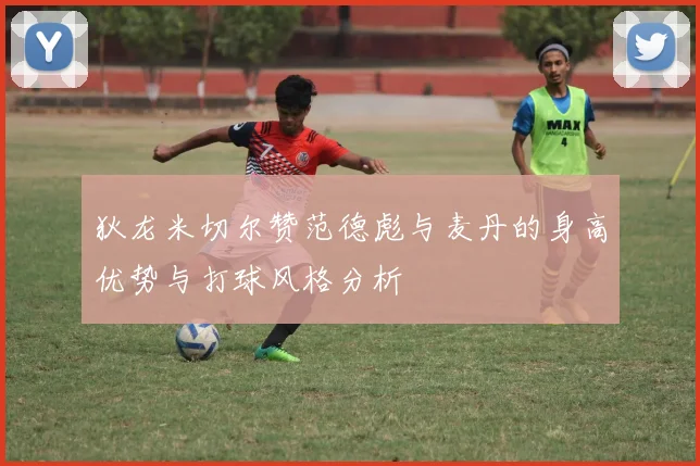 狄龙米切尔赞范德彪与麦丹的身高优势与打球风格分析